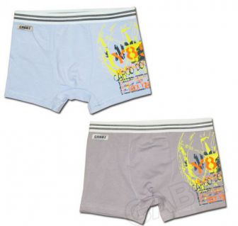 Трусы-шорты для мальчика 